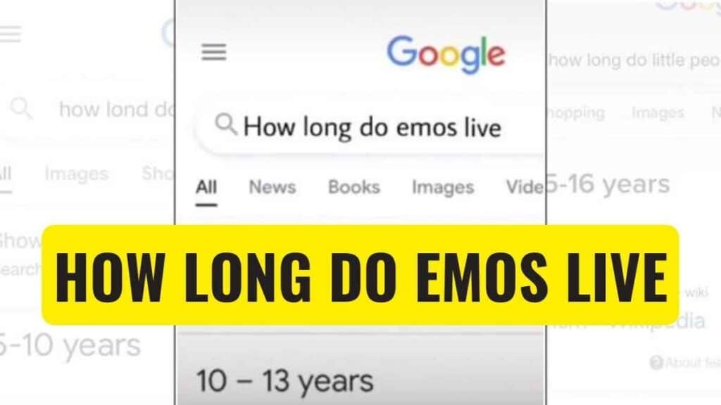 How Long Do Emos Live