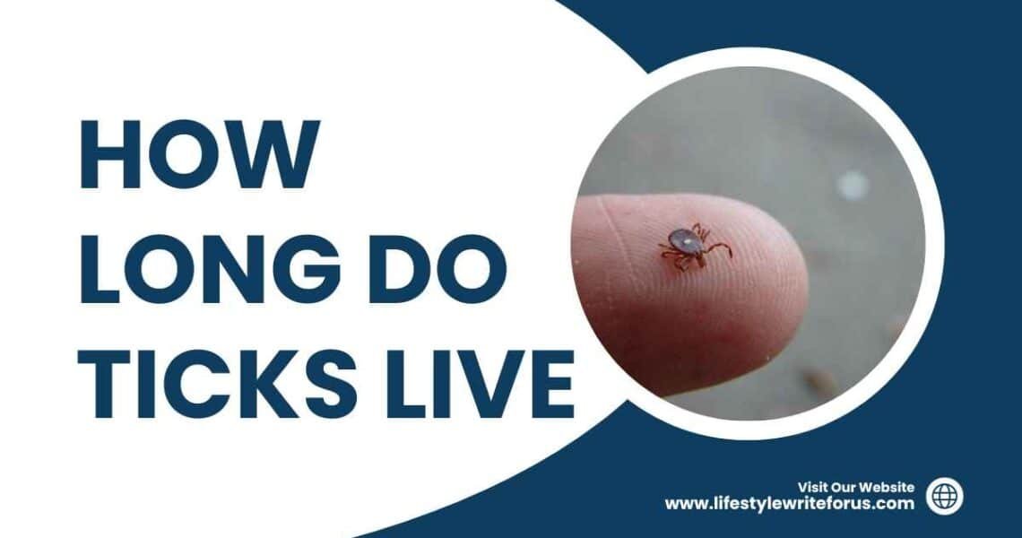 How Long Do Ticks Live