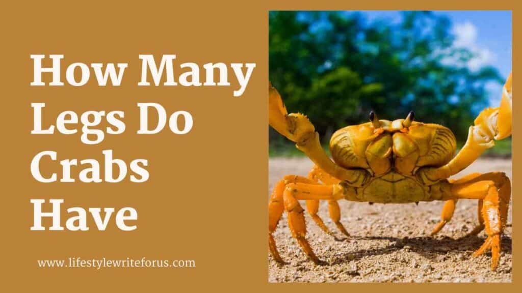 How Many Legs Do Crabs Have